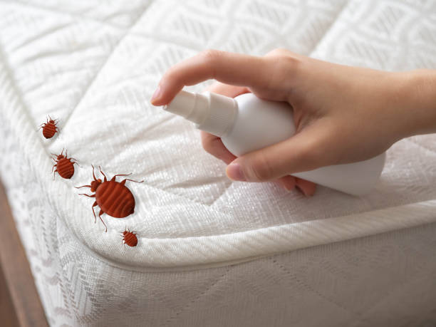 Best Pest Control Near Me  in Buckhead, GA
