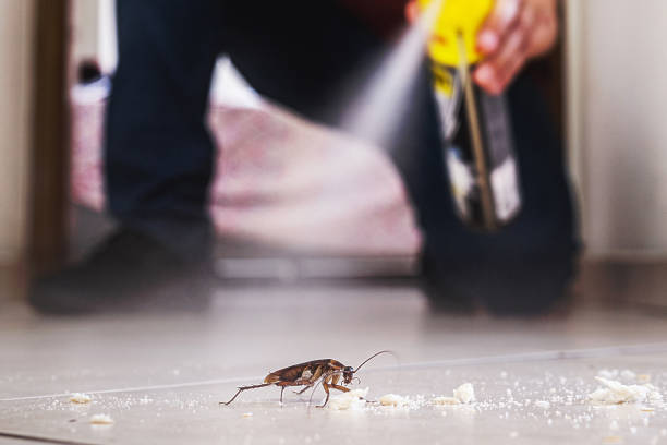 Best Pest Inspection Near Me  in Buckhead, GA