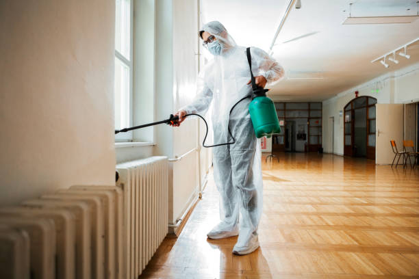 Best Wasp Removal Services  in Buckhead, GA