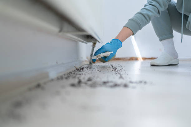 Best Mosquito Control Services  in Buckhead, GA
